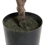 Kunstpflanze Kroton 75 cm - 4Ever Green