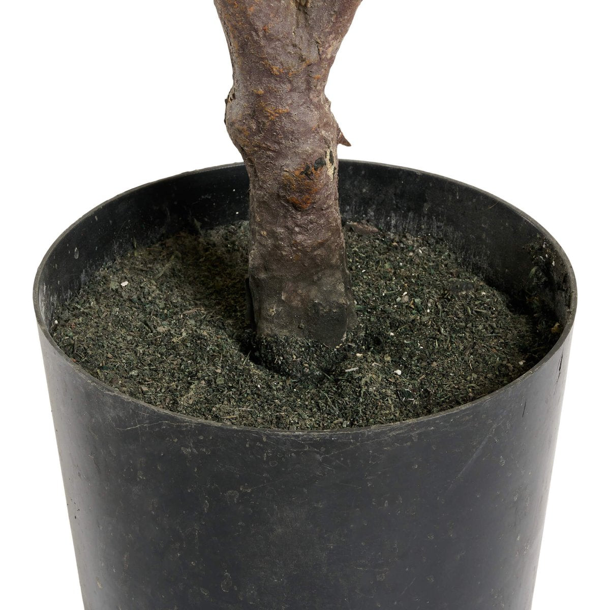 Kunstpflanze Kroton 75 cm - 4Ever Green