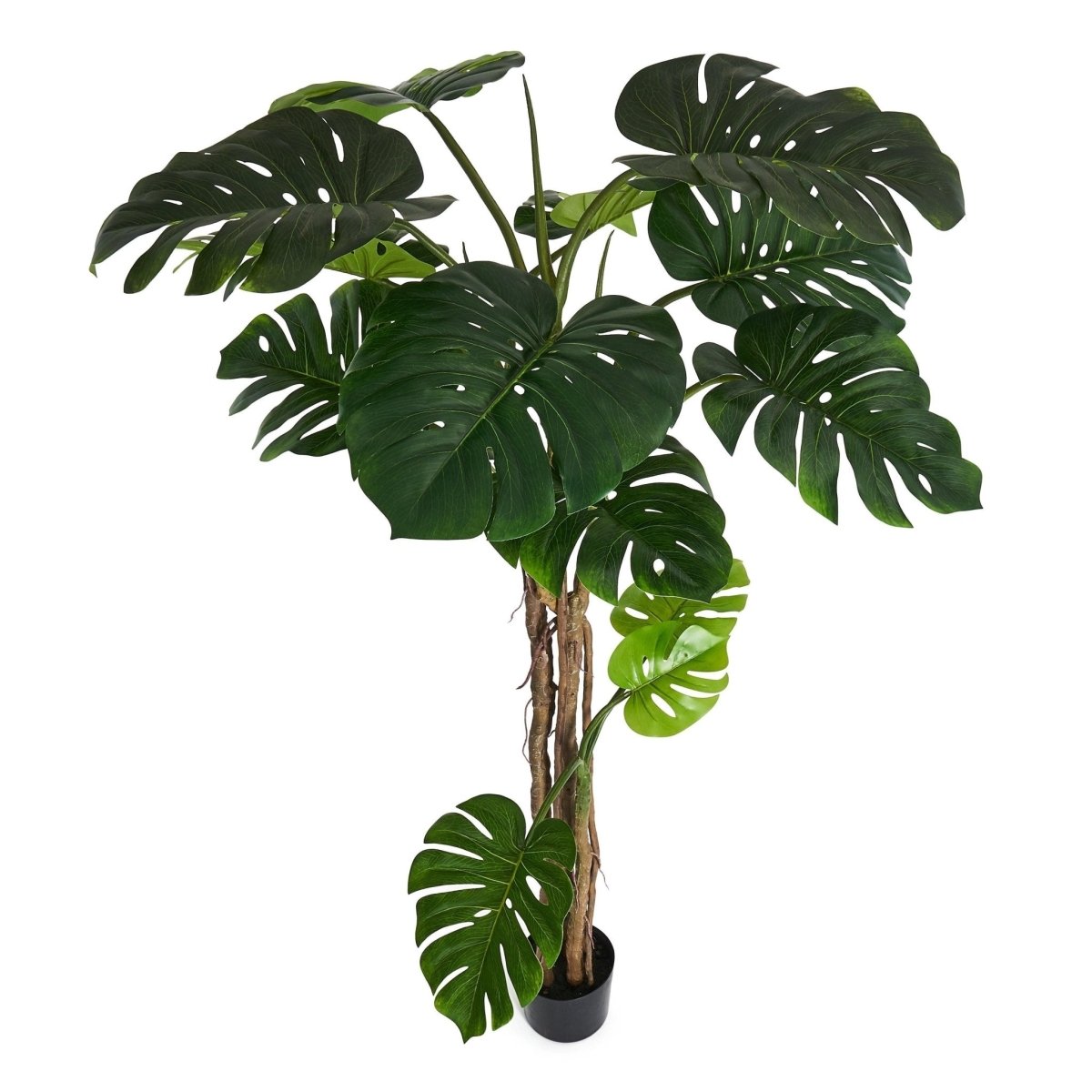 Kunstpflanze Monstera 180 cm - 4Ever Green