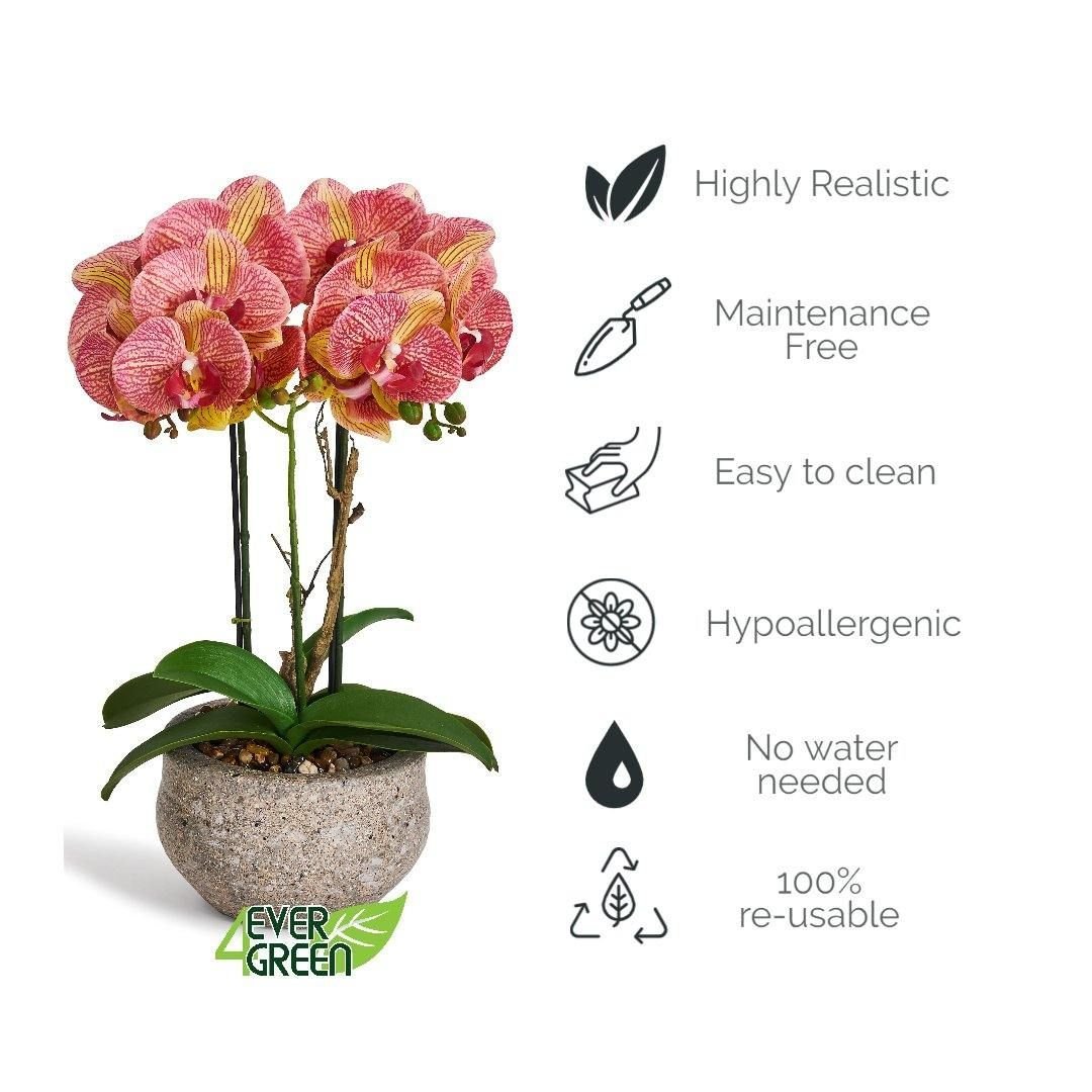 Kunstpflanze Orange Orchidee Phalaenopsis 42 cm - 4Ever Green