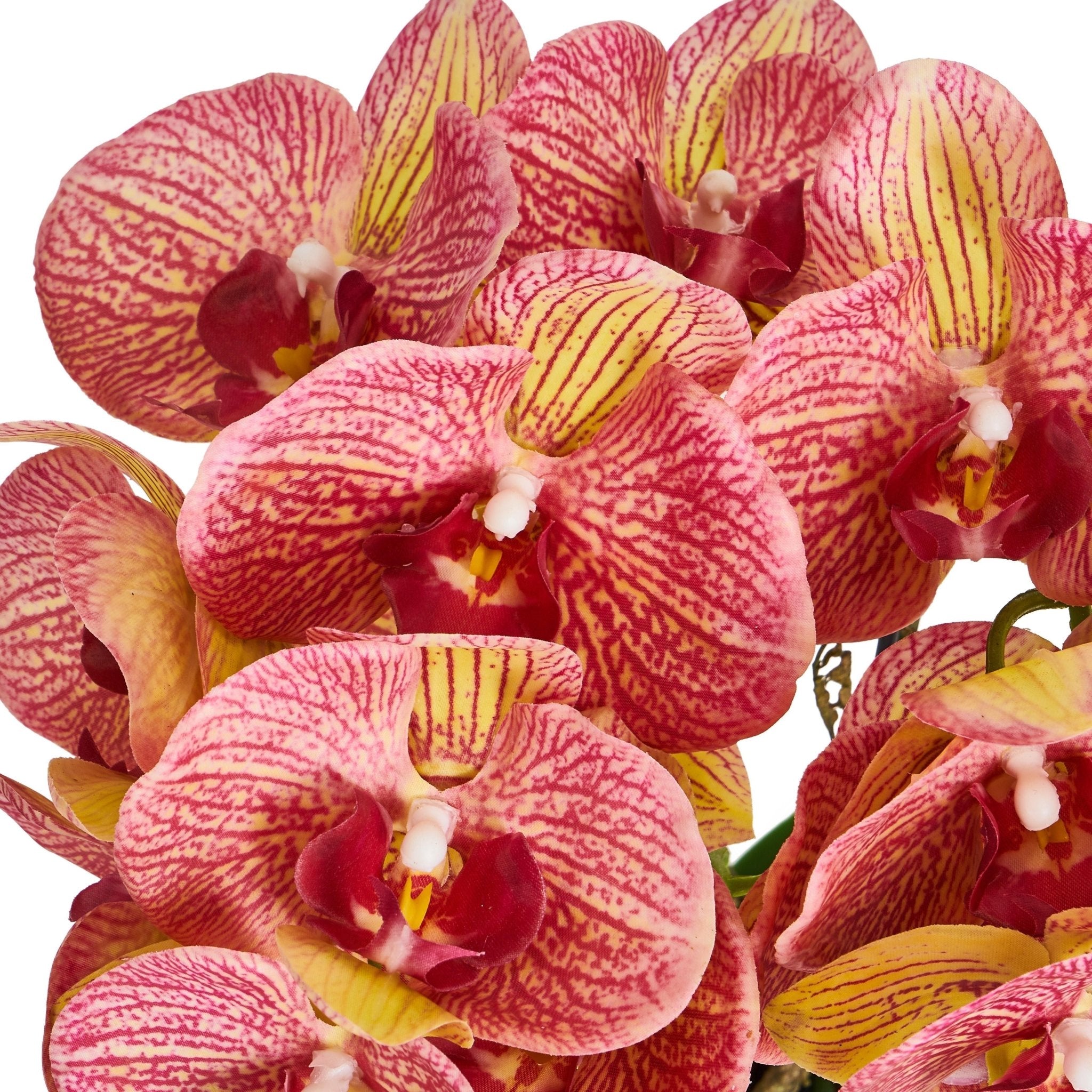 Kunstpflanze Orange Orchidee Phalaenopsis 42 cm - 4Ever Green