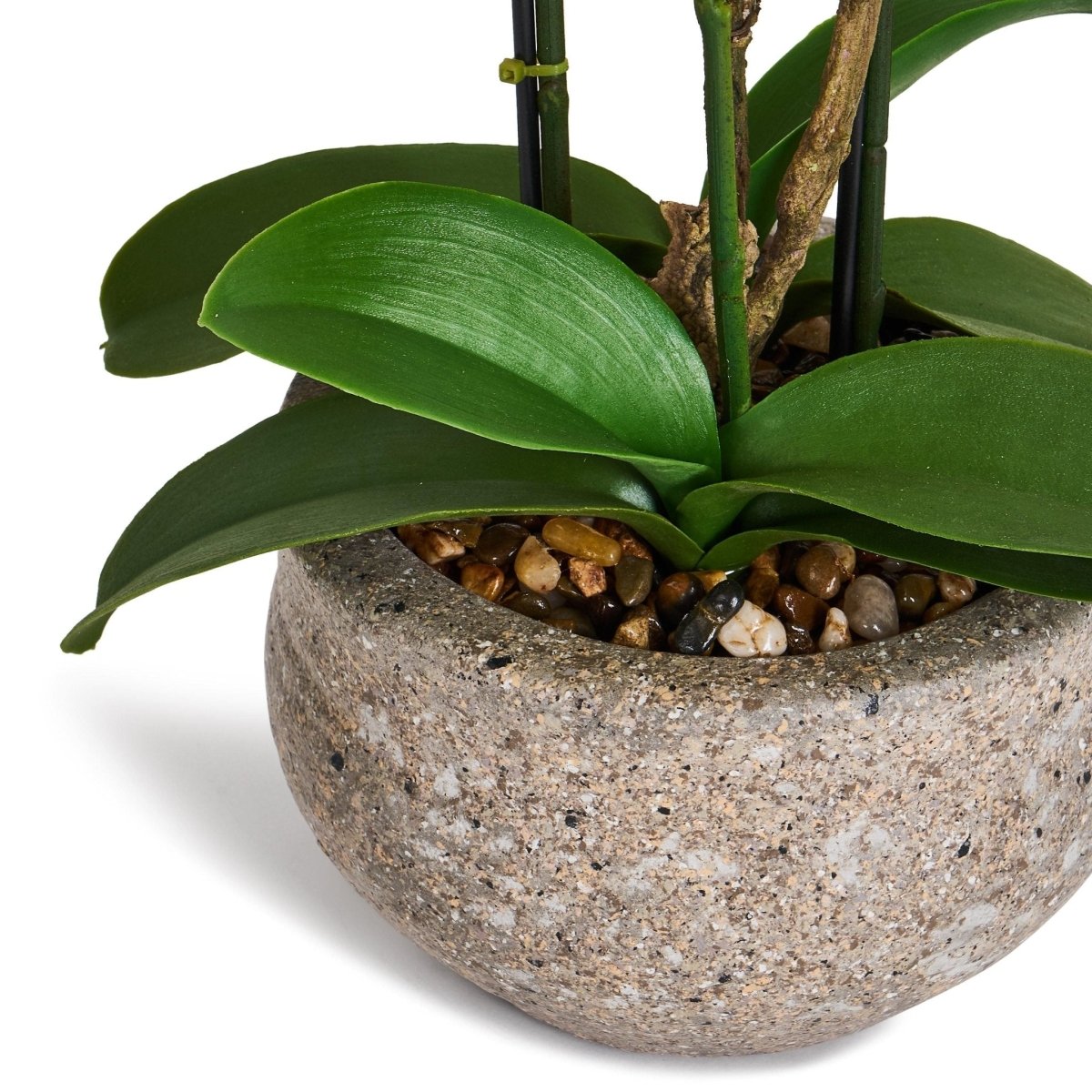 Kunstpflanze Orange Orchidee Phalaenopsis 42 cm - 4Ever Green