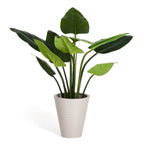 Kunstpflanze Philodendron 120 cm - 4Ever Green