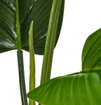Kunstpflanze Philodendron 120 cm - 4Ever Green