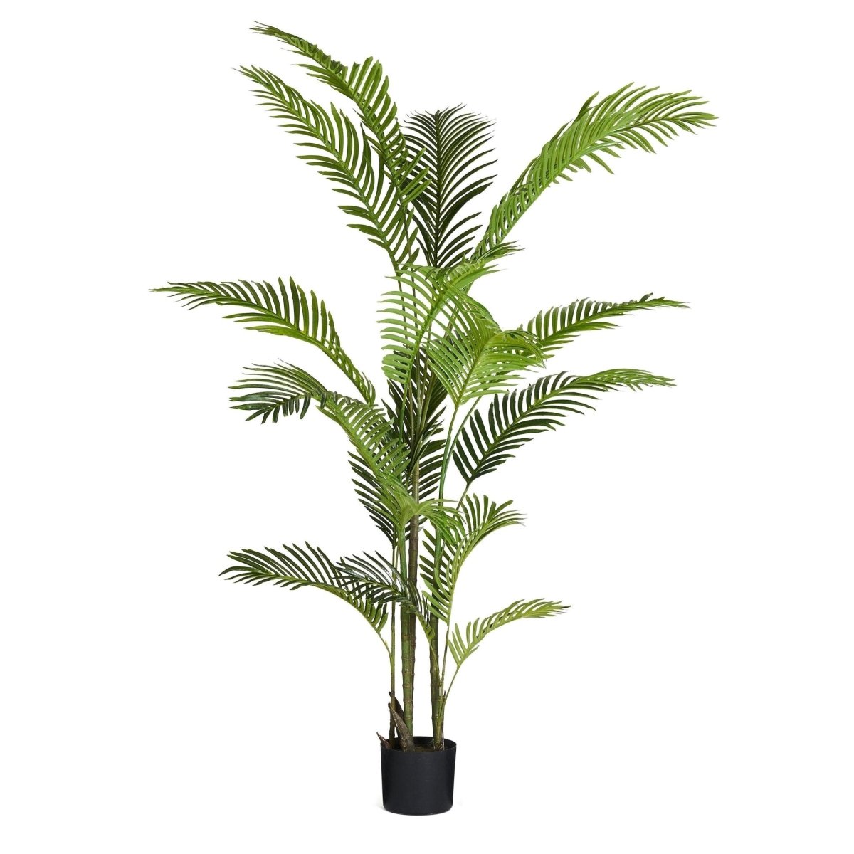 Kunstpflanze Phoenix Palme 150 cm - 4Ever Green