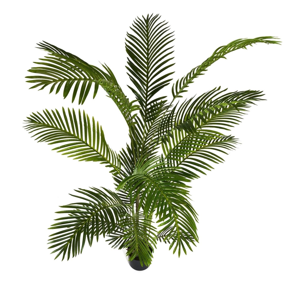 Kunstpflanze Phoenix Palme 150 cm - 4Ever Green