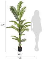 Kunstpflanze Phoenix Palme 220 cm - 4Ever Green