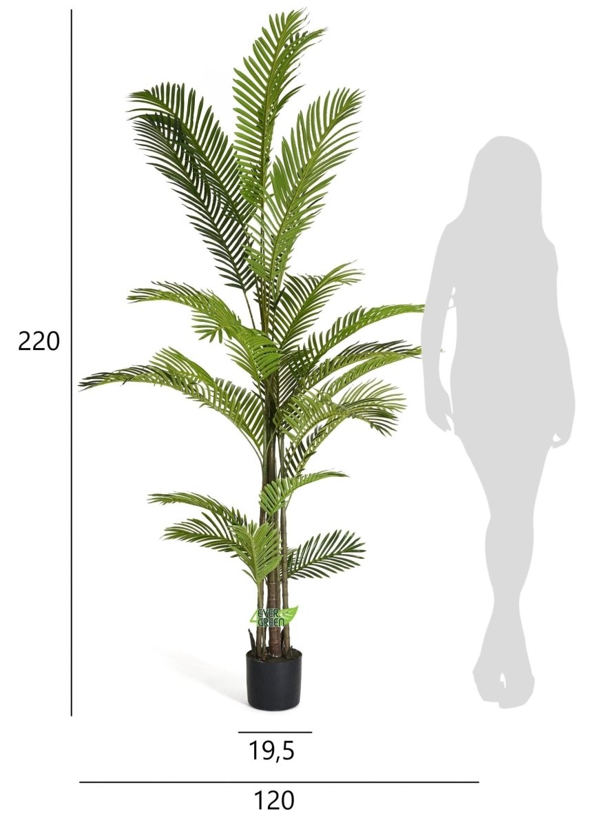 Kunstpflanze Phoenix Palme 220 cm - 4Ever Green
