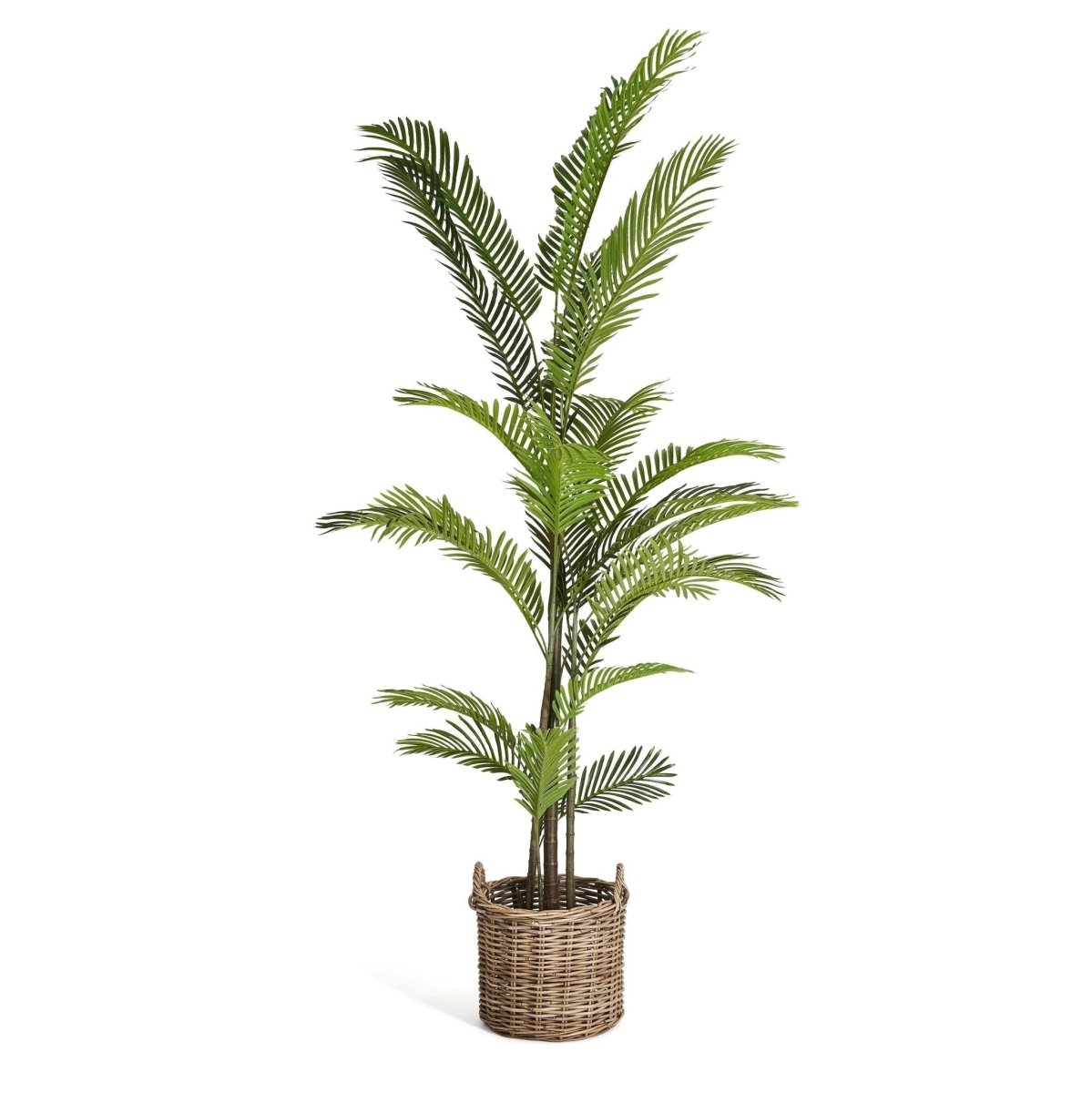 Kunstpflanze Phoenix Palme 220 cm - 4Ever Green
