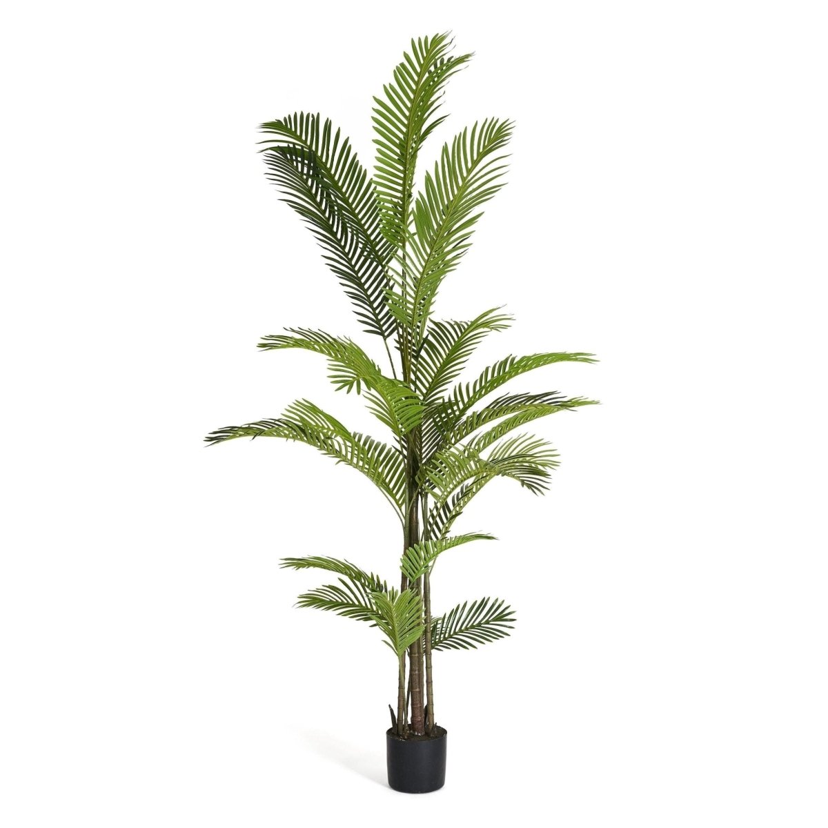 Kunstpflanze Phoenix Palme 220 cm - 4Ever Green