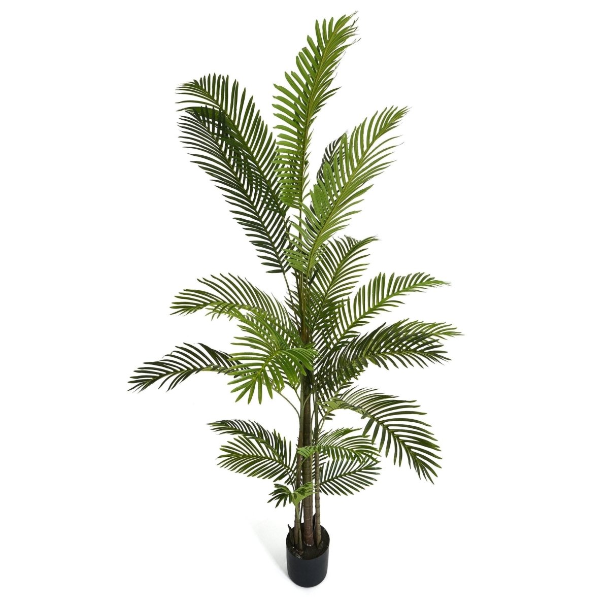 Kunstpflanze Phoenix Palme 220 cm - 4Ever Green