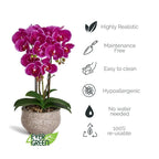 Kunstpflanze Violett Orchidee Phalaenopsis 42 cm - 4Ever Green