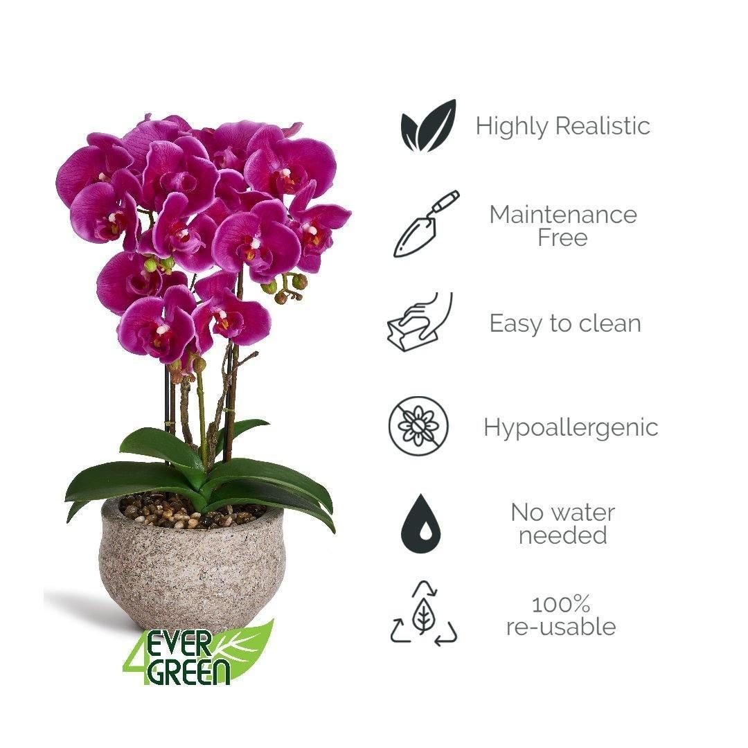 Kunstpflanze Violett Orchidee Phalaenopsis 42 cm - 4Ever Green