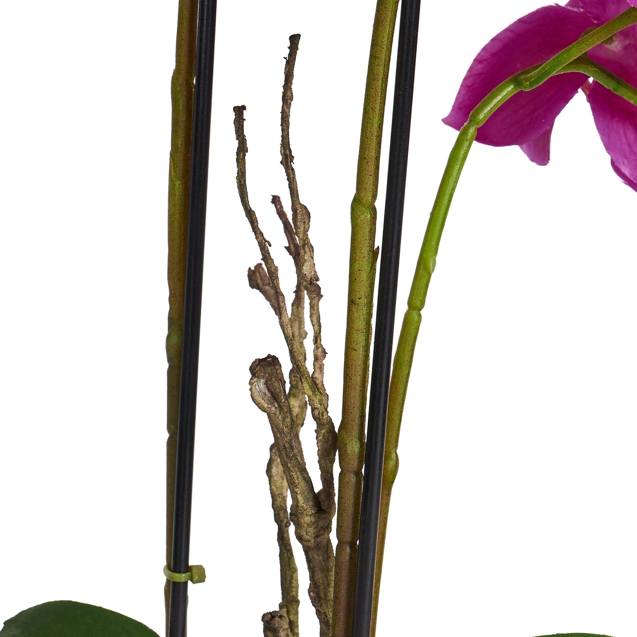 Kunstpflanze Violett Orchidee Phalaenopsis 42 cm - 4Ever Green