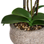 Kunstpflanze Violett Orchidee Phalaenopsis 42 cm - 4Ever Green