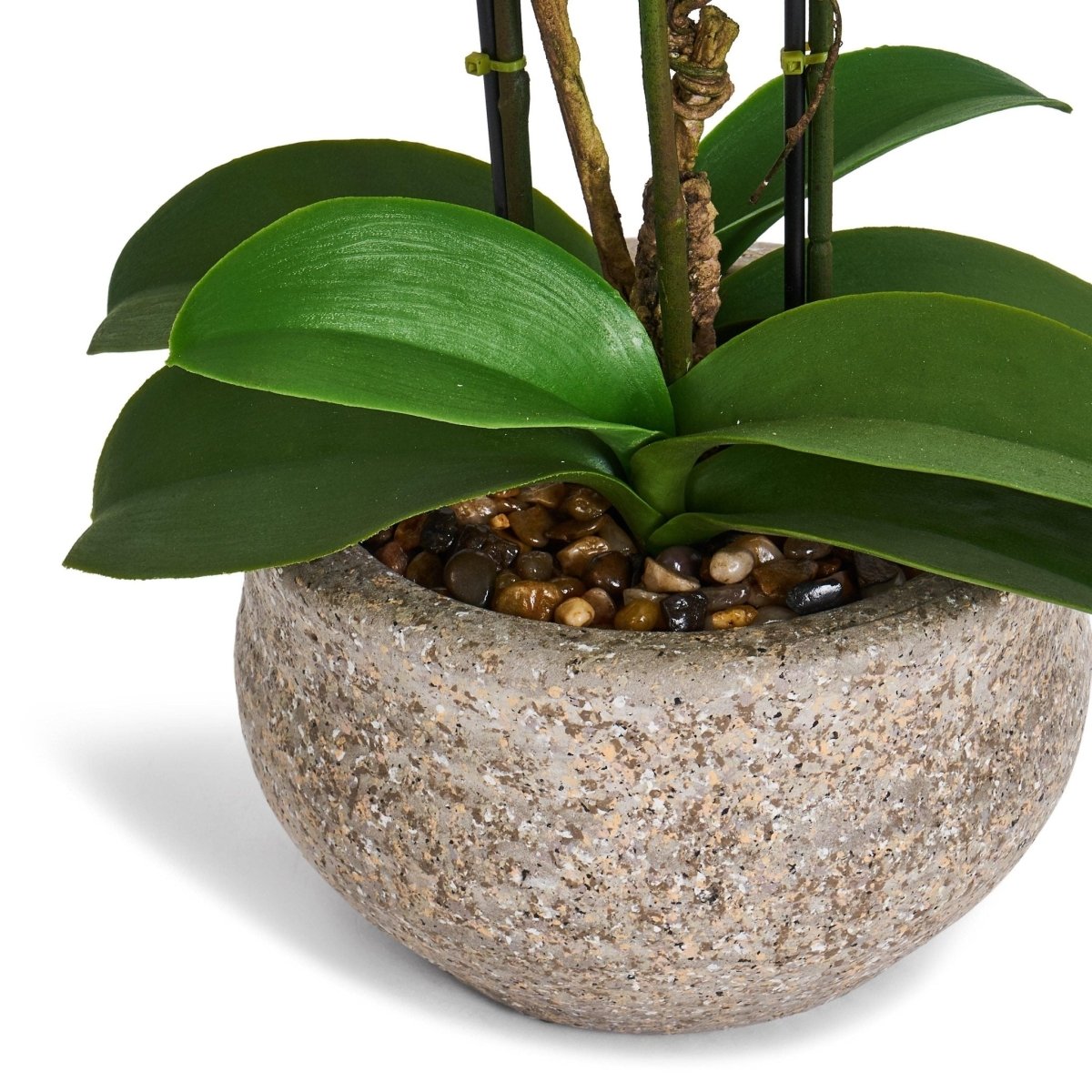 Kunstpflanze Weiß Orchidee Phalaenopsis 42 cm - 4Ever Green