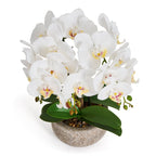 Kunstpflanze Weiß Orchidee Phalaenopsis 42 cm - 4Ever Green