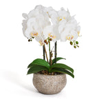 Kunstpflanze Weiß Orchidee Phalaenopsis 42 cm - 4Ever Green