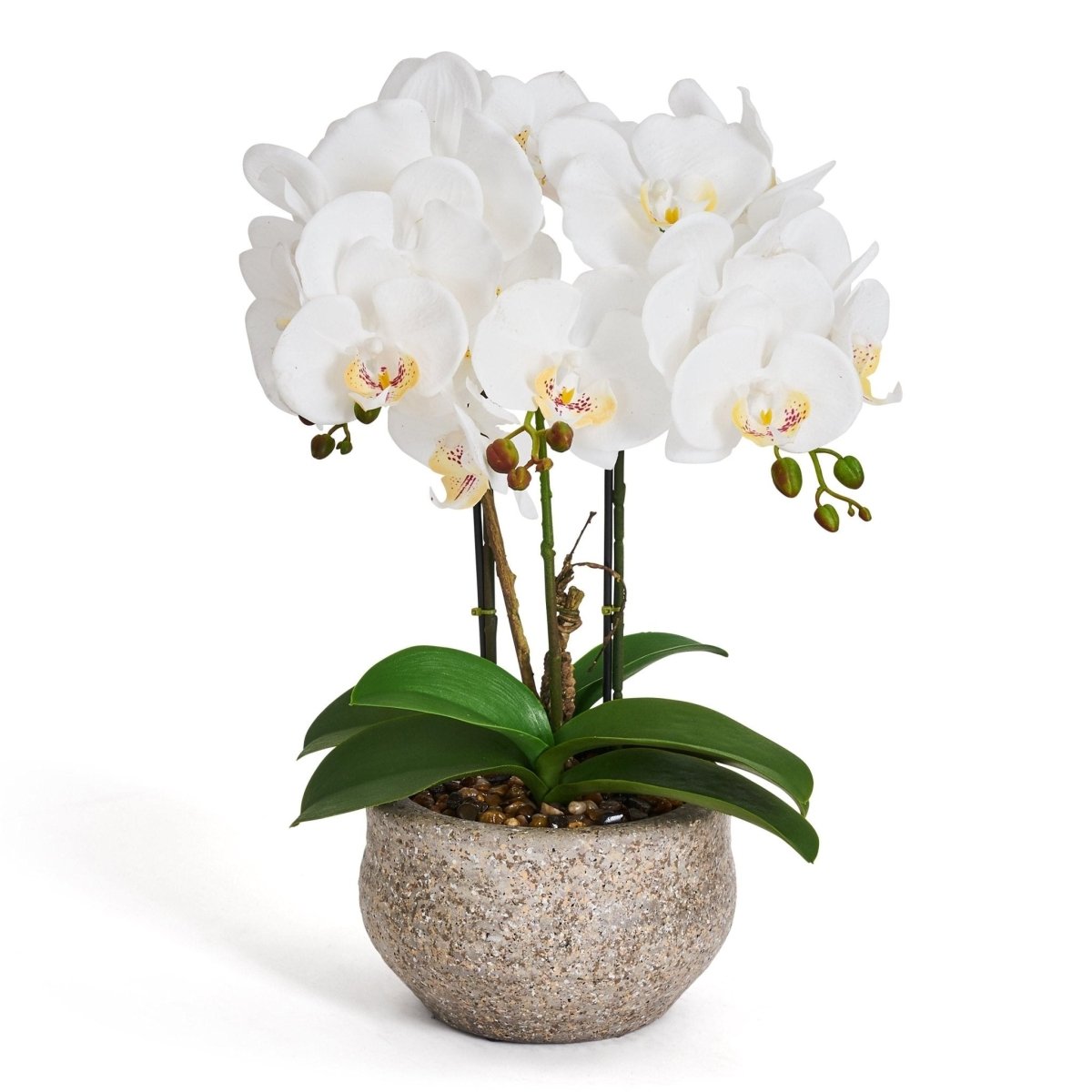 Kunstpflanze Weiß Orchidee Phalaenopsis 42 cm - 4Ever Green