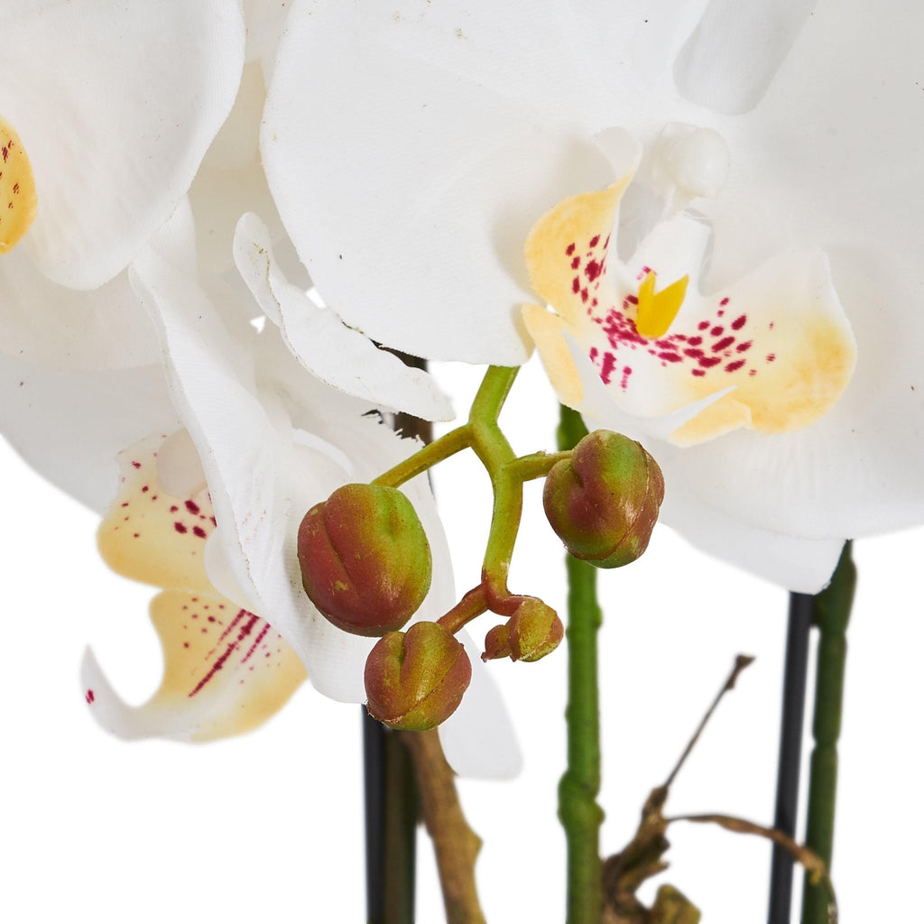 Kunstpflanze Weiß Orchidee Phalaenopsis 42 cm - 4Ever Green