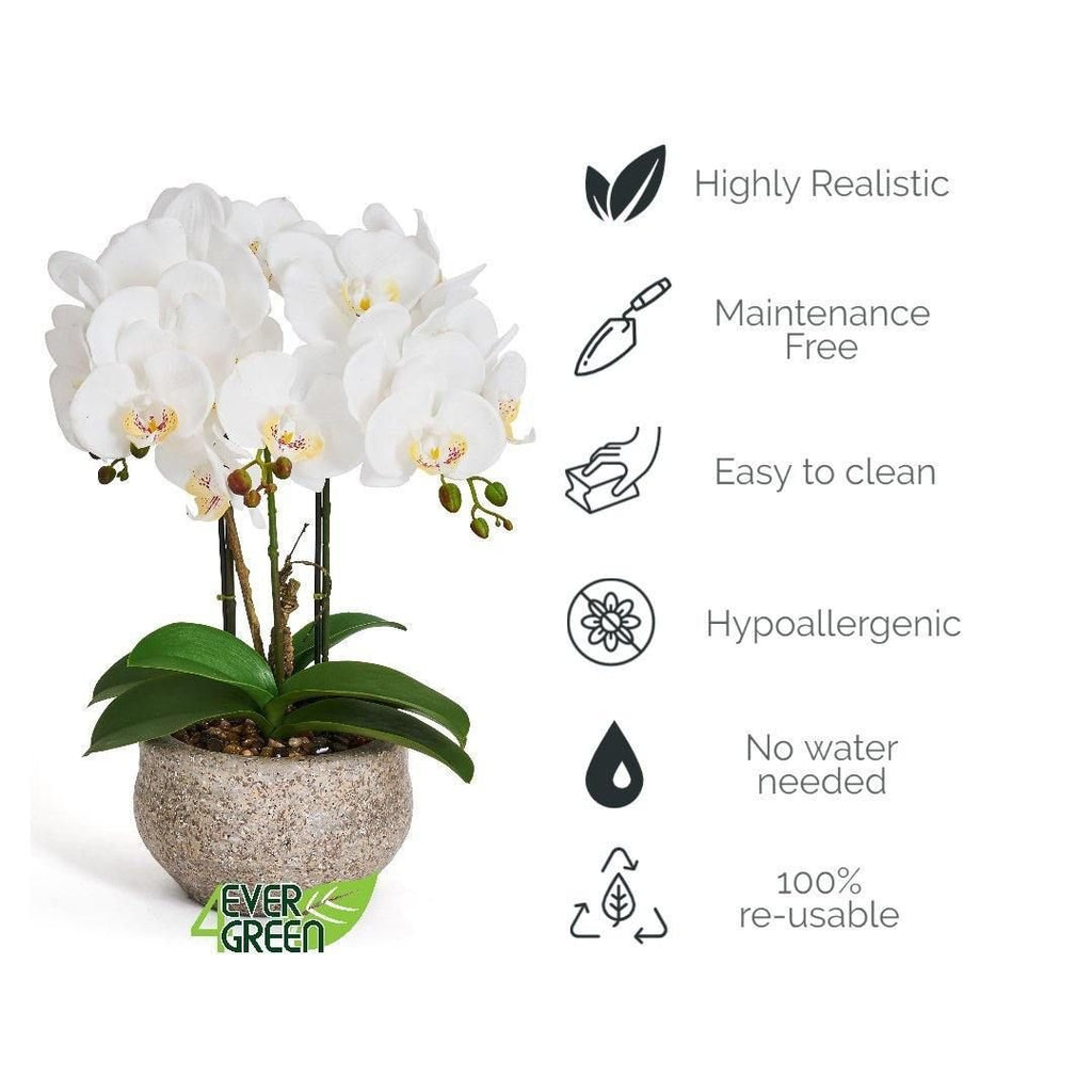 Kunstpflanze Weiß Orchidee Phalaenopsis 42 cm - 4Ever Green