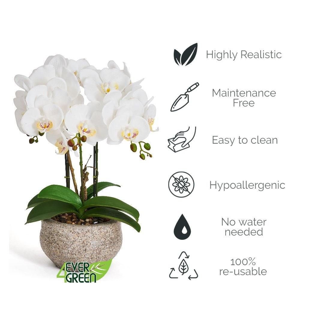 Kunstpflanze Weiß Orchidee Phalaenopsis 42 cm - 4Ever Green