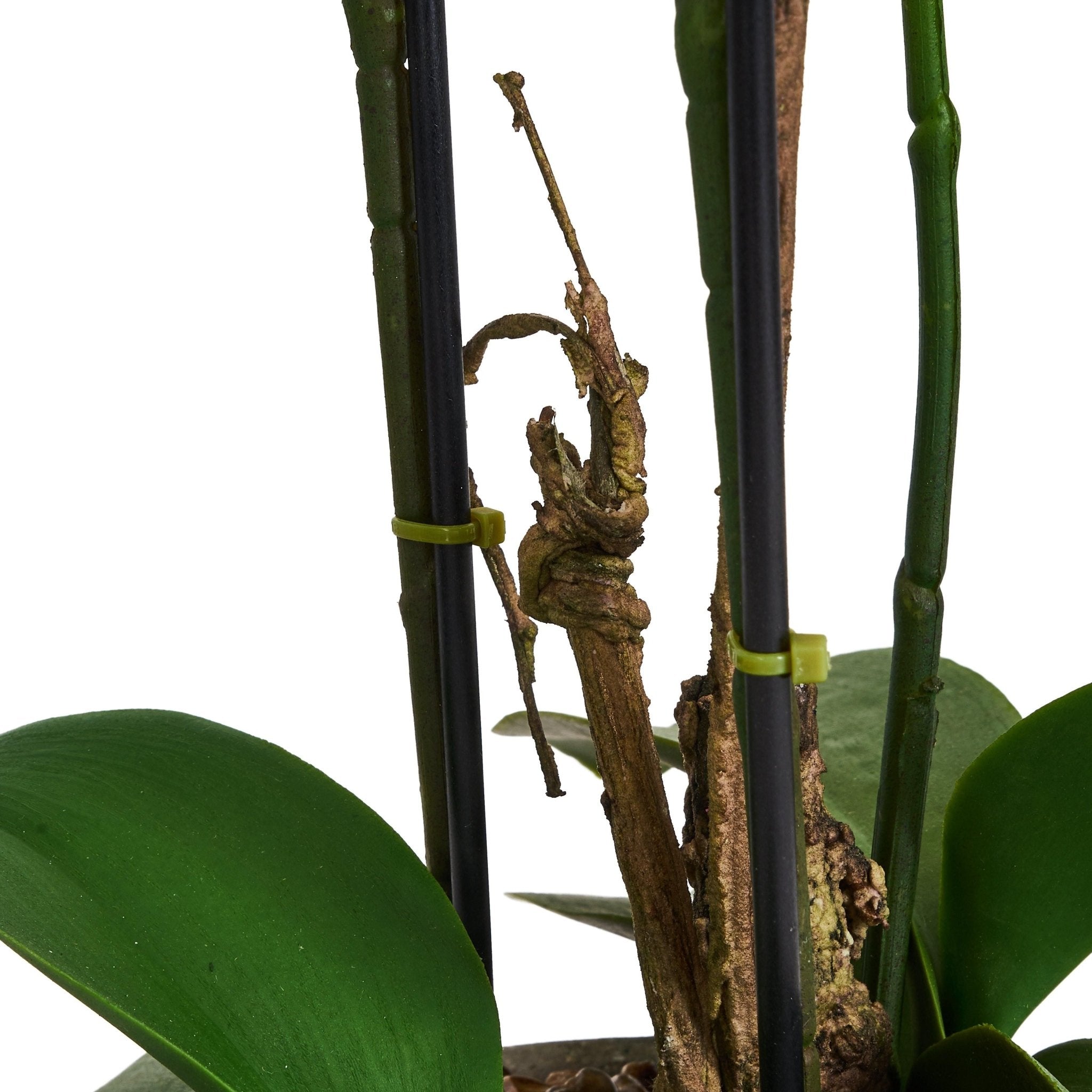 Kunstpflanze Weiß Orchidee Phalaenopsis 42 cm - 4Ever Green