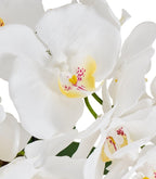 Kunstpflanze Weiß Orchidee Phalaenopsis 42 cm - 4Ever Green