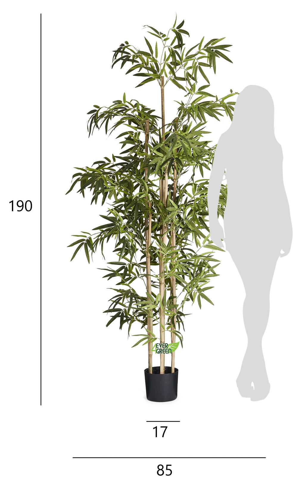 Kunstpflanze Bambus 190 cm - 4Ever Green