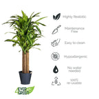 Kunstpflanze Dracaena 155 cm - 4Ever Green