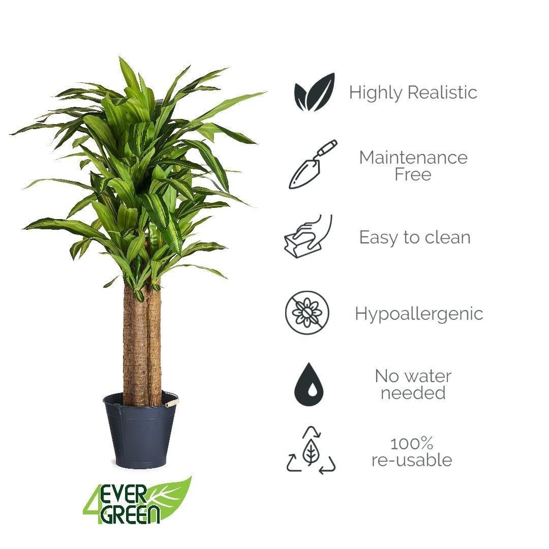 Kunstpflanze Dracaena 155 cm - 4Ever Green
