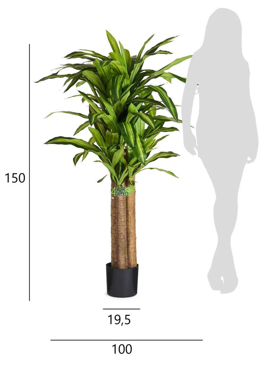 Kunstpflanze Dracaena 155 cm - 4Ever Green