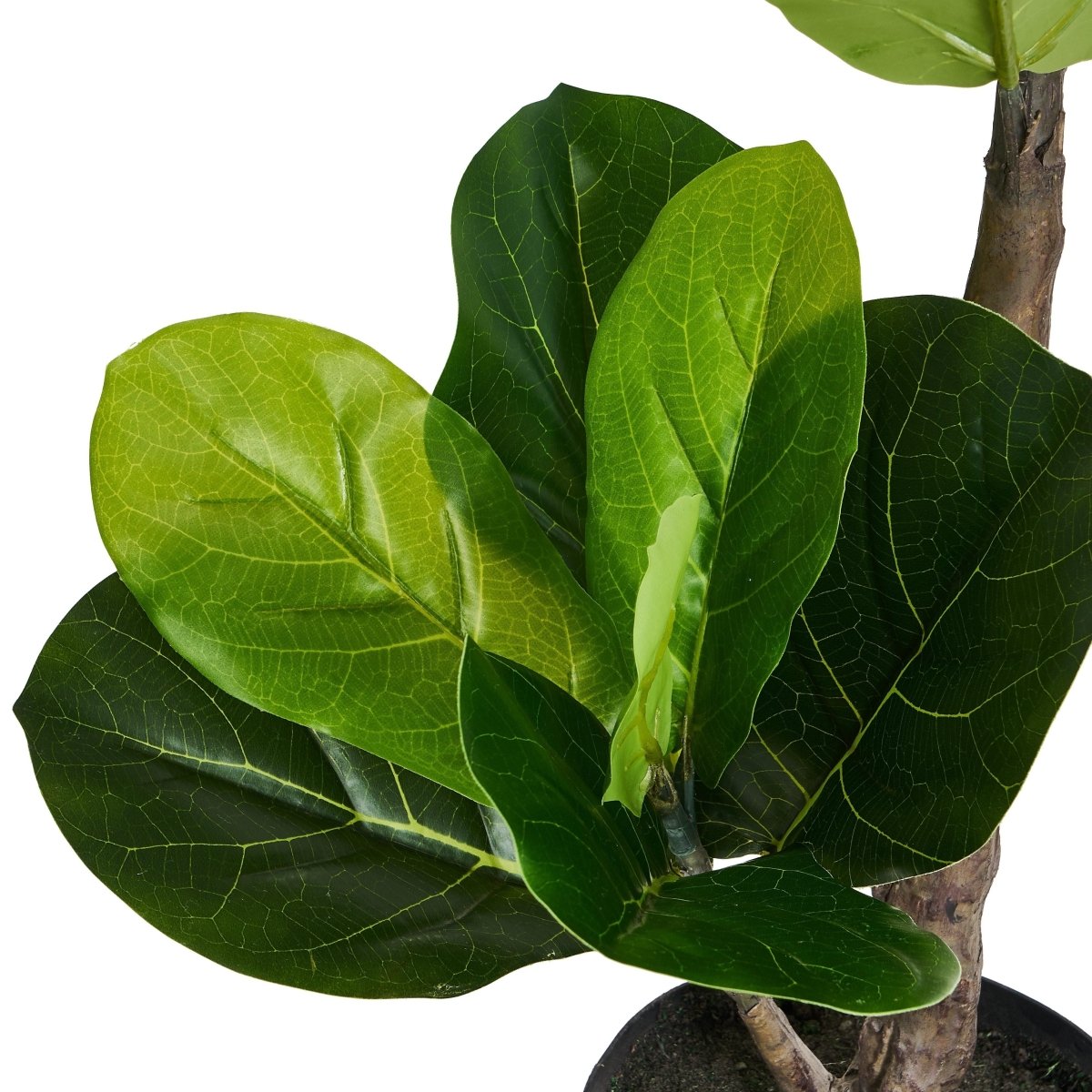Kunstpflanze Ficus 90 cm - 4Ever Green